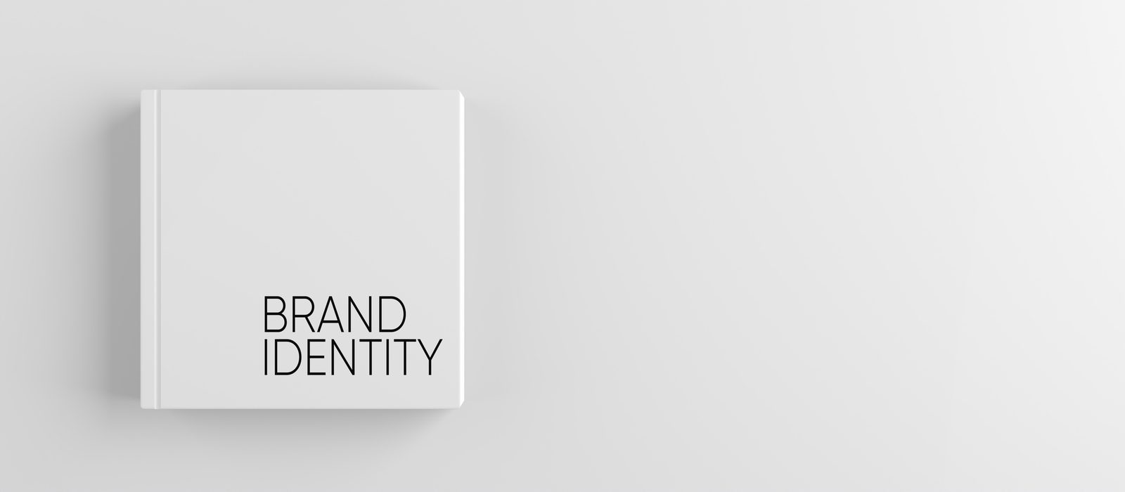 BRAND IDENTITYと記された白い本